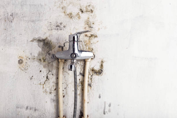 Best Certified Mold Removal  in Mount Hope, NJ