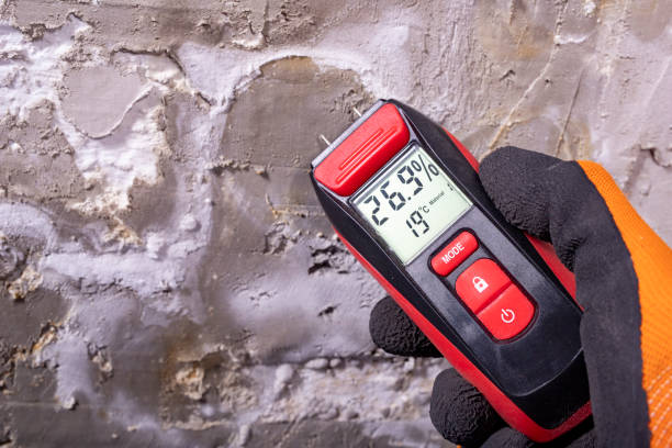 Best Emergency Mold Removal  in Mount Hope, NJ