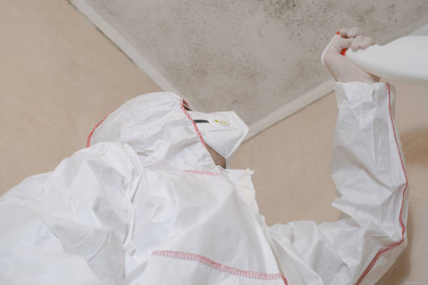 Best Home Mold Removal  in Mount Hope, NJ