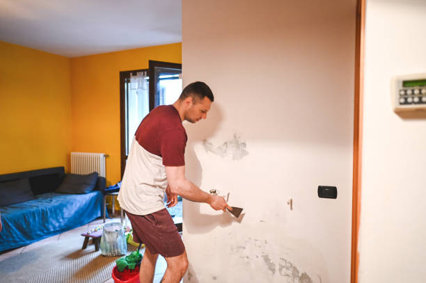 Professional Mold Removal in Mount Hope, NJ